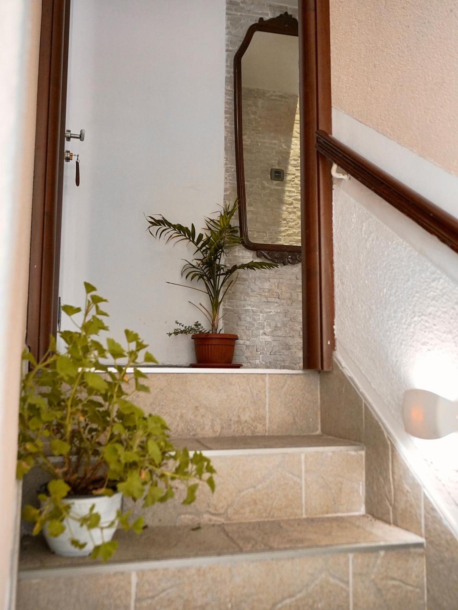 Novi Svet Apartment Kotor Exterior photo